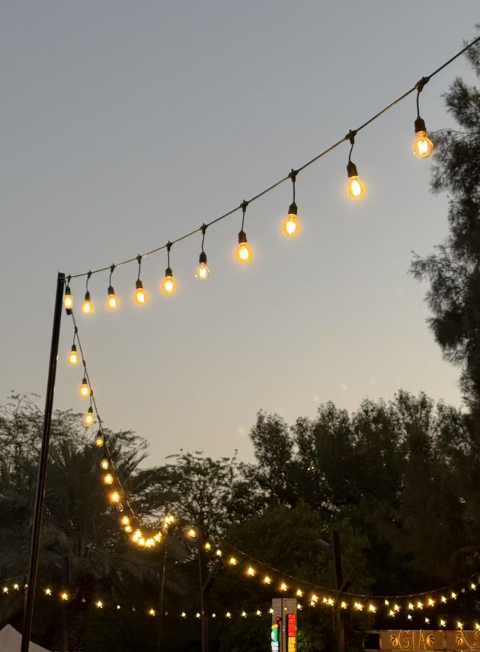 Modi Festoon Light Holders,Wire/String with E27 Holders